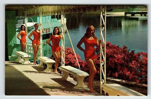 Postcard Weeki Wachee Live Mermaids Show Florida Swimsuit 4 Women Posing Chrome