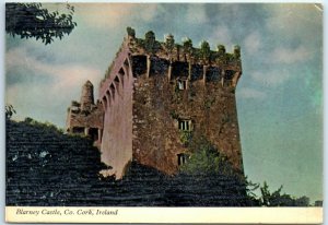 M-2948 Blarney Castle Co Cork Ireland