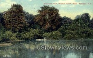 Midwood Pool  - Newark, New Jersey NJ  