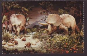 Primeval World,Disneyland,CA Postcard 