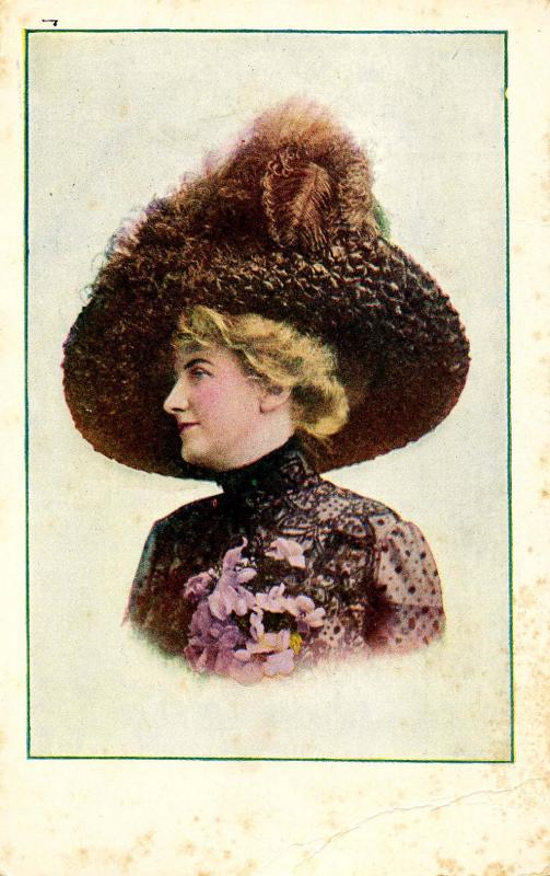 Fashion - Lady With Brown Hat & Plume, Purple Flowers