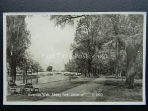 Leicestershire LEICESTER Abbey Park Riverside Walk c1950's RP Postcard