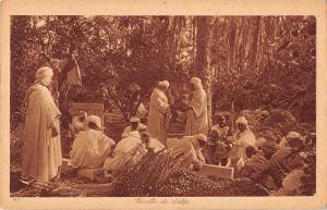 BF9148 lehnert & landrock recolte de dattes types africa    Africa