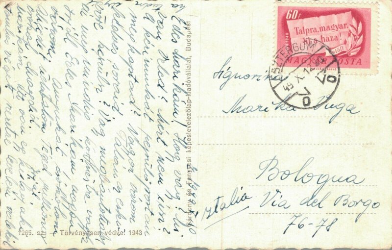 Hungary Esztergom Látképe Vintage Postcard 08.42