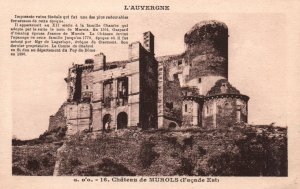 Chateau de Murols,L'Auvergne,France BIN