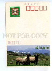 419859 JAPAN sheeps ADVERTISING postal postcard POSTAL stationery