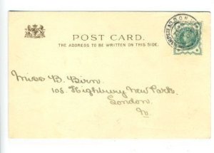 Raphael Tuck Tennyson Maud #490 Postcard