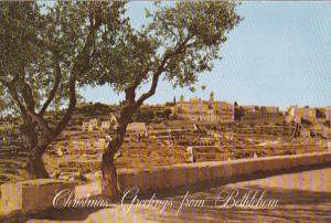 Christmas Greetings From Bethlehem