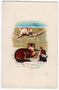 Cat & Kittens in the Snow