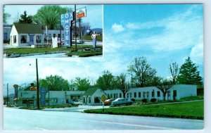 JACKSBORO, Tennessee TN ~ Roadside FOX MOTEL Restaurant ca 1950s  Postcard