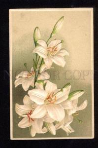 048942 Embossed White LILIES Flower vintage