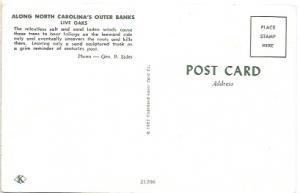 US Unused. North Carolina outer banks.  1961 Result of salt and sand laden winds