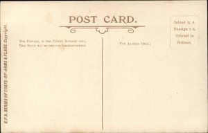 Patriotic Coat of Arms & Country Flag EFA Series c1910 Postcard TURKEY