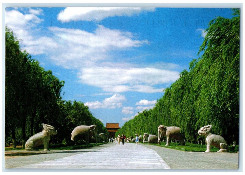 c1950's Animal Statue Pathway to The Ming Tombs Beijing China Postcard