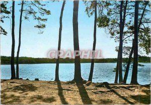 Postcard Modern Foret Troncais Etang de Saint Bonnet