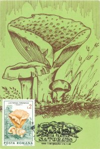 Romania set of 11 maximum cards 1988 mushrooms that can be eaten topic postcards 