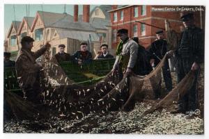 Morning Catch Of Sprats, Deal