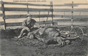 H46/ Medicine Hat Alberta Canada Postcard c1910 Horse Roping Cowboy