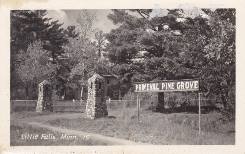 Minnesota Little Falls Primeval Pine Grove Entrance Real Photo