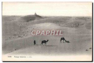 Old Postcard Tunisia Sahara Landscape