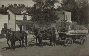 Waterville MN Street Fair Sept 1913 Horse Wagon Vegetables Real Photo Postcard