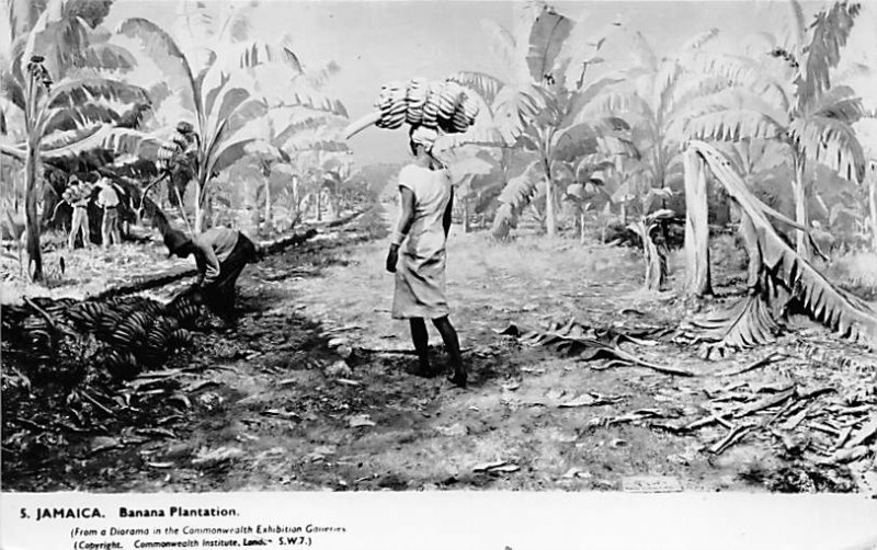 Jamaica, Jamaique Post card Old Vintage Antique Postcard Banana Plantation Un...