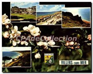 Modern Postcard Villers sur mer Mermoz The beach The beach Cows Boures overview