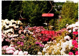 Tasmania - Launceston. Cataract Gorge  (Aerial Lift)