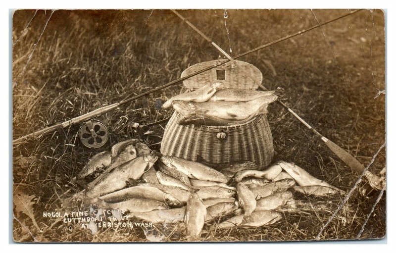 RPPC Catch of Cutthroat Trout at Kerriston, WA Real Photo Postcard *6S29