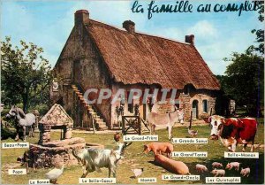 Postcard Modern Family full Goat farm animals Donkey Donkey Pig Pig Cow Horse