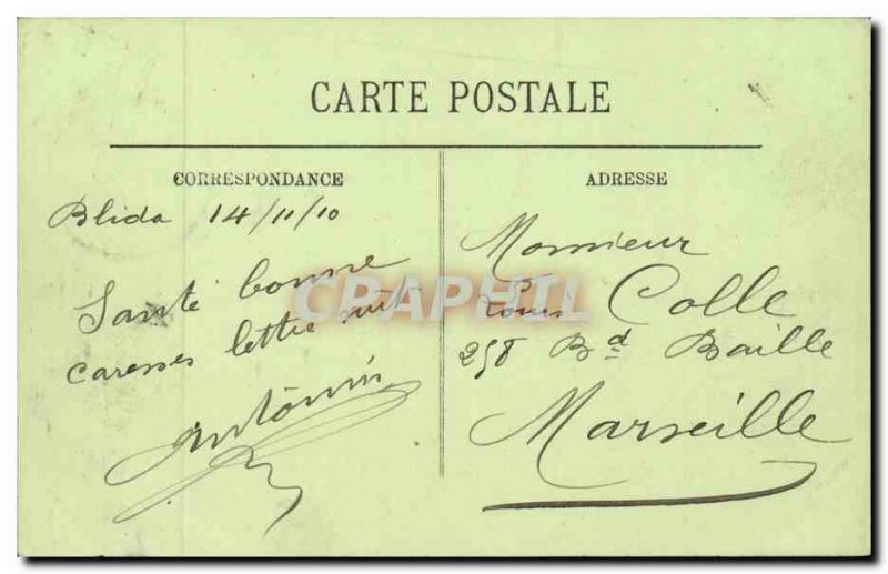 Algeria Old Postcard surroundings Blida Gorges Cascade Chiffa monkeys stream