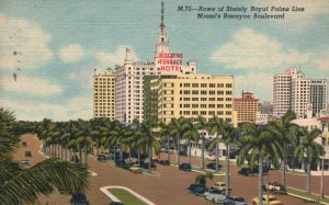 Vintage Postcard 1957 Rows Of Stately Royal Palms Biscayne Boulevard Florida FL