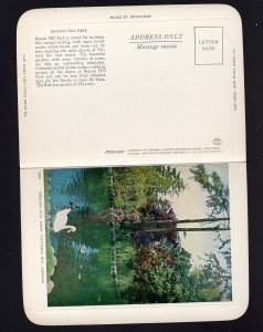 British Columbia VICTORIA Beacon Hill Park - Swan Ducks Folkard Letter Card