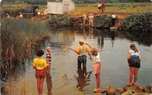 Crab Creek in Cape Cod, Massachusetts