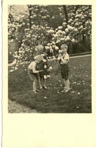 NETHERLANDS   PC432    CHILDREN PICKING FLOWERS