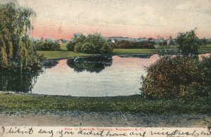 View in Riverside Cemetery Rochester New York N. Y. Vintage Postcard 1907