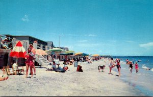 Virginia Virginia Beach Sunbathers Along The Beach