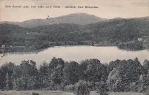 Little Squam Lake From View Farm Ashland New Hampshire Albertype 1944