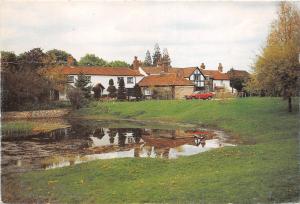 B87188 bradmore green old coulsdon surrey   uk