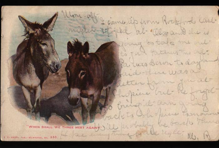 Beloit West Allis WI State Fair Park Donkeys E. C. Kropp Vintage Postcard B06