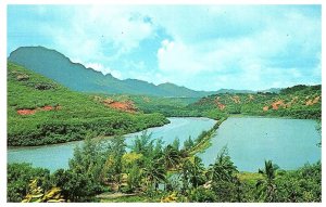 Menehune Fish Pond Kauai Hawaii Postcard