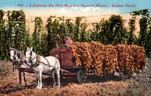 California - The Hop Field - Road of a Thousand Wonders - Edward H. Mitchell -