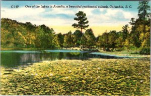 Postcard WATER SCENE Columbia South Carolina SC AM2341