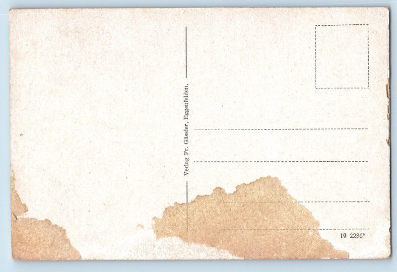 Bavaria Germany Postcard Eggenfelden Bergstrasse c1910 Antique Unposted