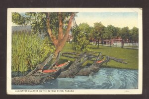 BAYANO RIVER PANAMA CANAL ZONE ALLIGATOR QUARTET VINTAGE POSTCARD