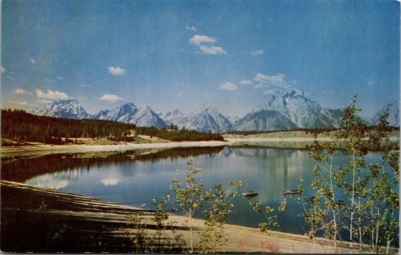 Jackson Lake Wyoming Scenic Mountain Landscape Natural Chrome Postcard 