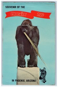 Souvenir Of Phoenix Zoo Lowland Gorilla Phoenix Arizona AZ Vintage Postcard