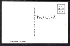 Three Cats in a Basket