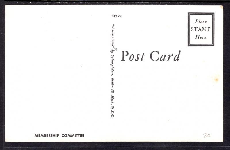 Three Cats in a Basket