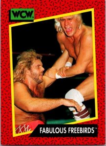 1991 WCW Wrestling Card Fabulous Freebirds sk21182